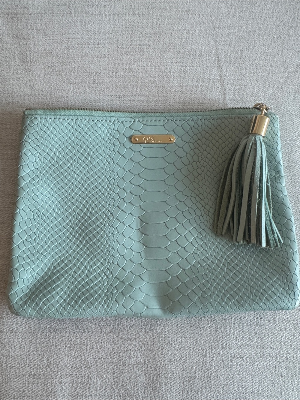 Leather Python Embossed GIGI New York Tassel Clutch - Mint Green